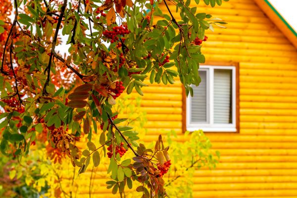 Garden Window Replacement in North Canton